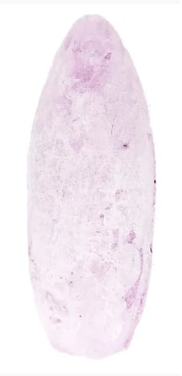 Pemba Lilás